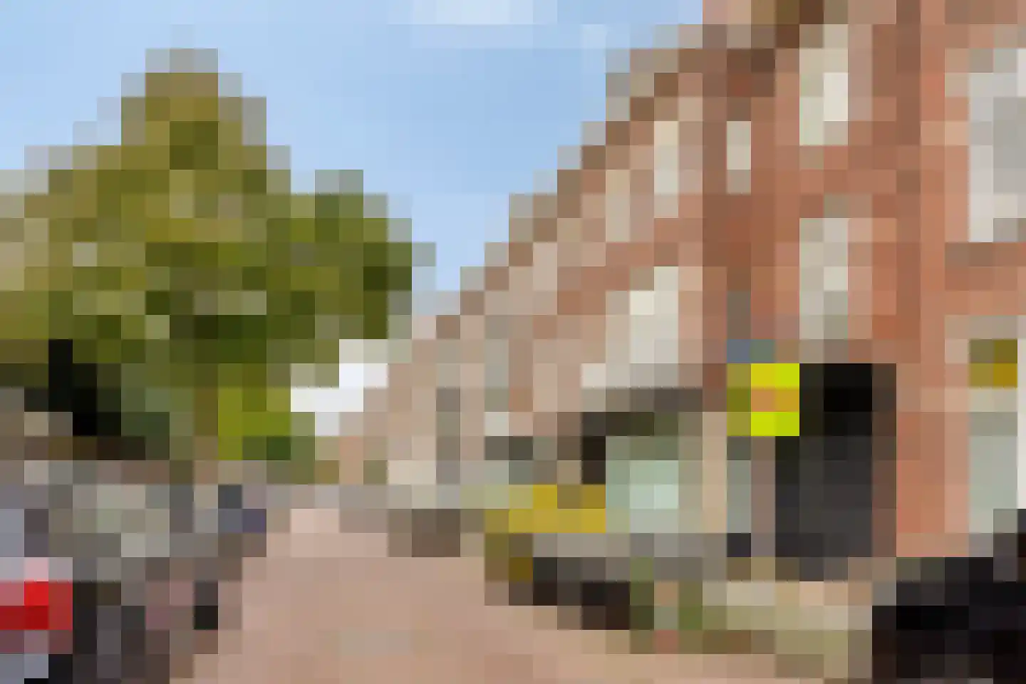 Paulus Buijsstraat 7 Den Haag thumbnail 22