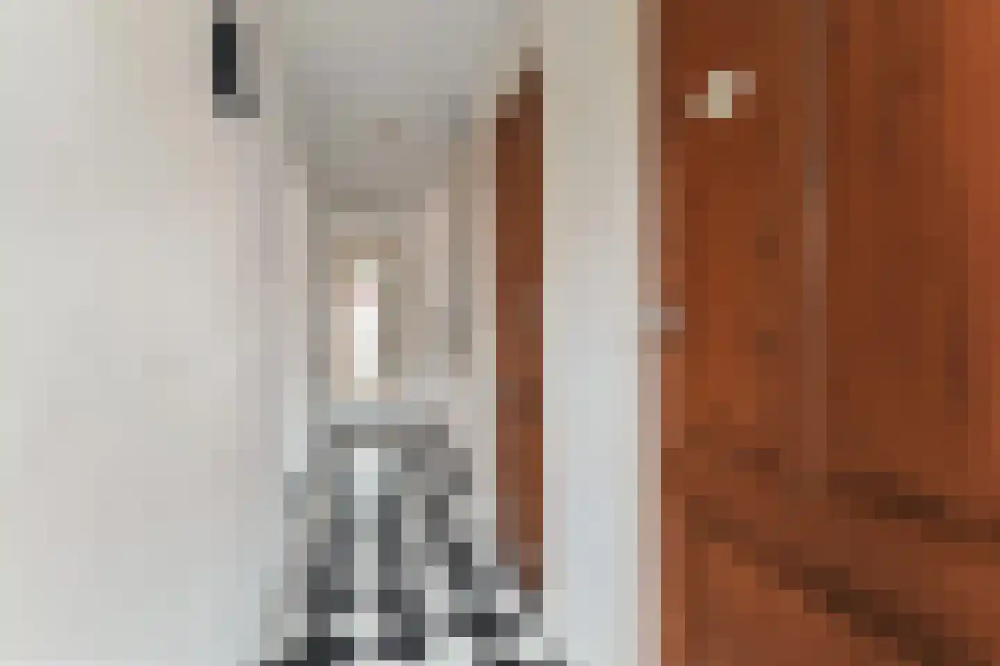 Paulus Buijsstraat 72 Den Haag thumbnail 6
