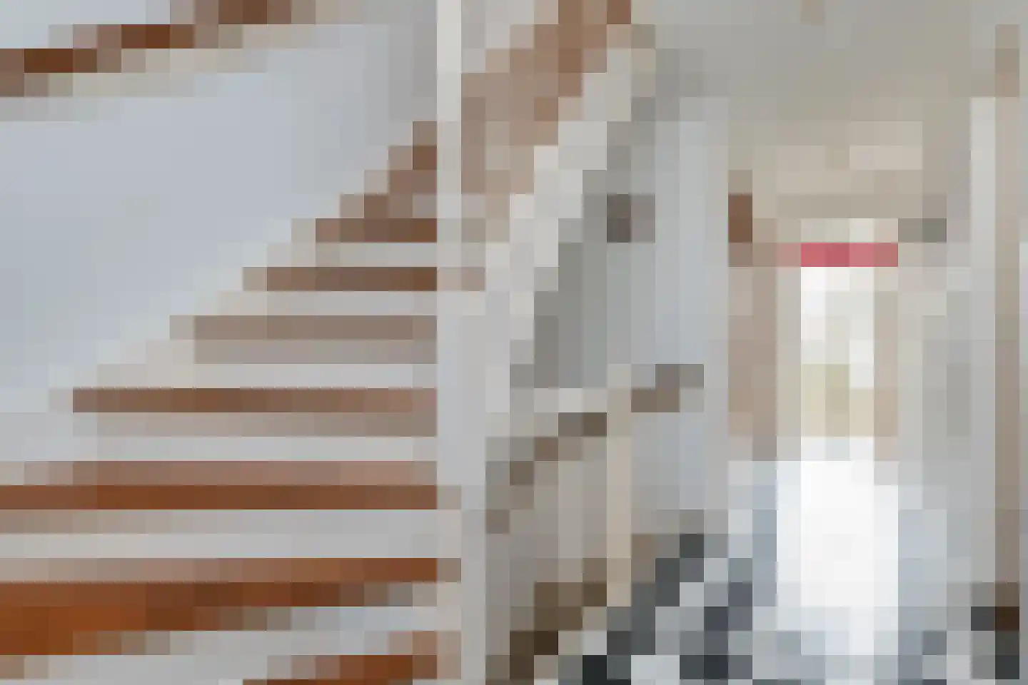 Paulus Buijsstraat 72 Den Haag thumbnail 8