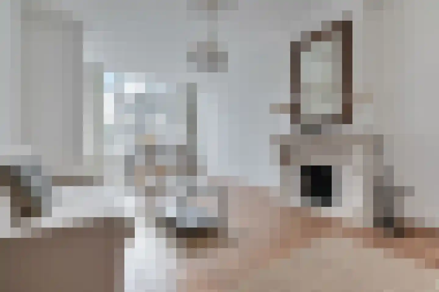 Paulus Buijsstraat 72 Den Haag thumbnail 9