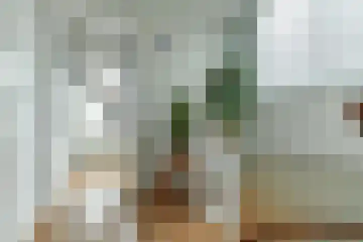 Paulus Buijsstraat 8 Velp thumbnail 19
