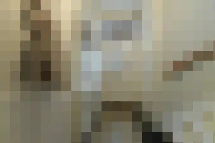 Paulus Buijsstraat 8 Velp thumbnail 7
