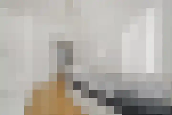 Paulus Buijsstraat 9 Delft thumbnail 20