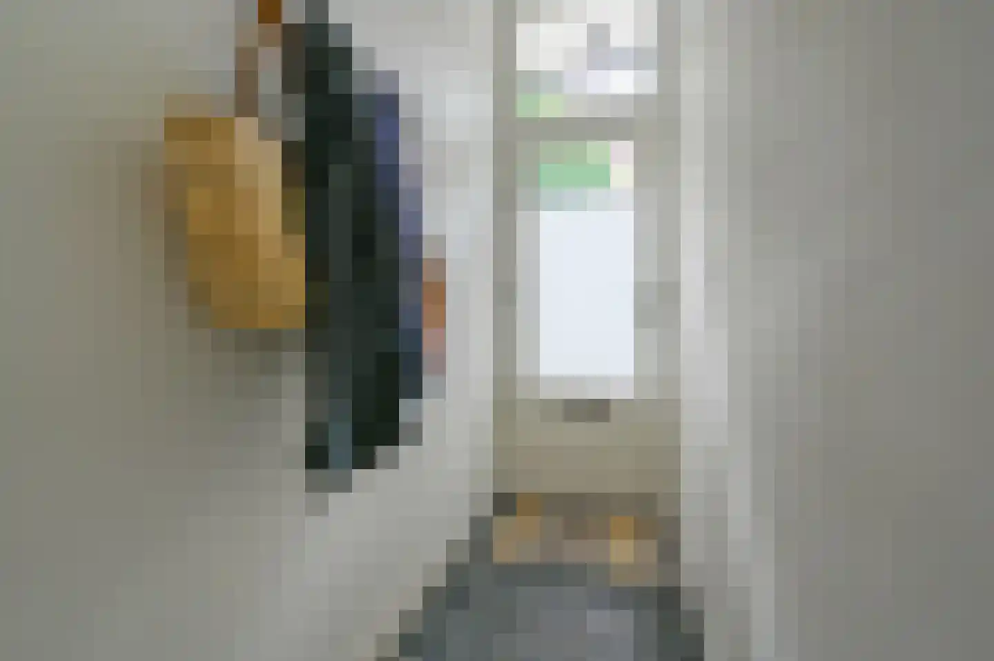 Paulus Buijsstraat 9 Den Haag thumbnail 10