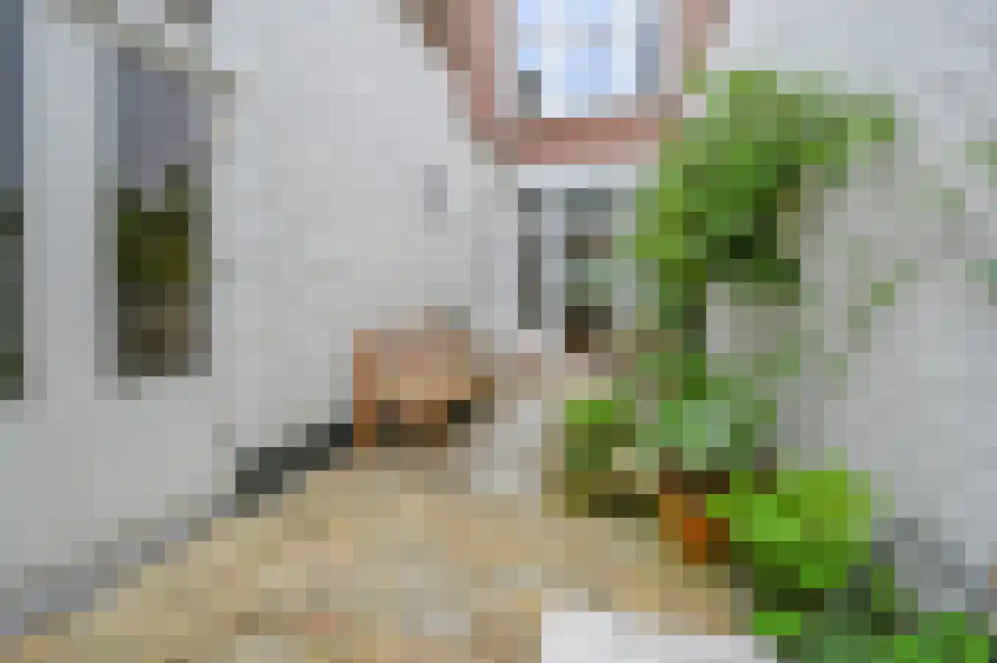 Paulus Buijsstraat 9 Den Haag thumbnail 24