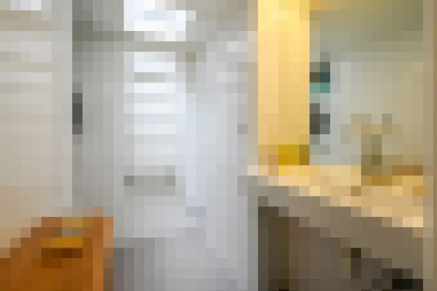 Paulus Buijsstraat 9 Den Haag thumbnail 32