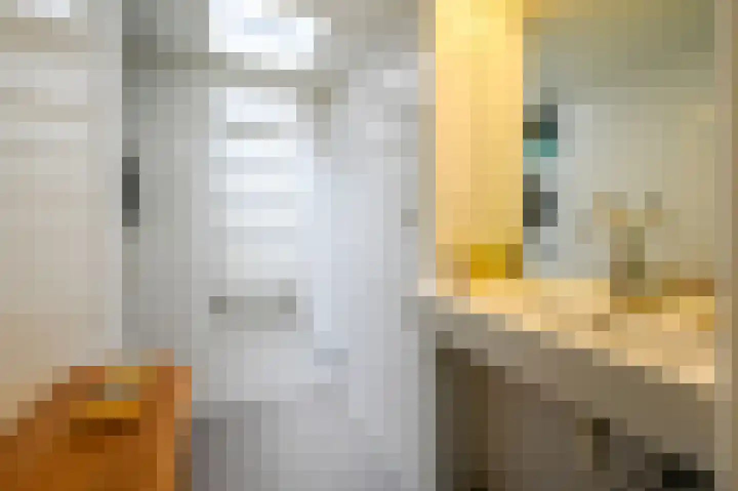 Paulus Buijsstraat 9 Den Haag thumbnail 4