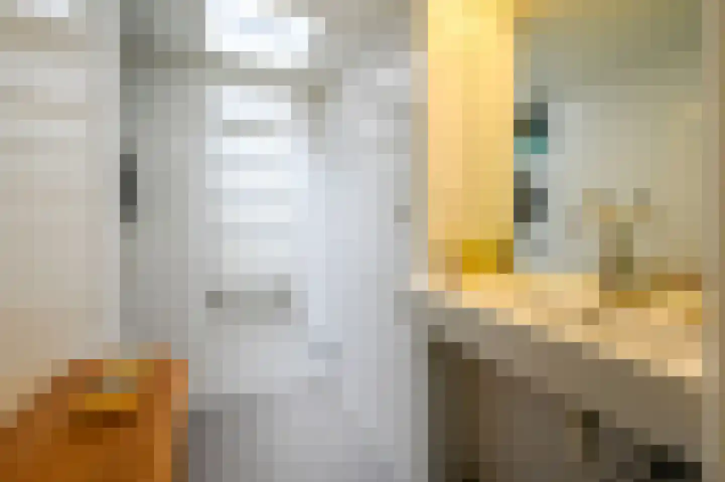 Paulus Buijsstraat 9 Den Haag thumbnail 4