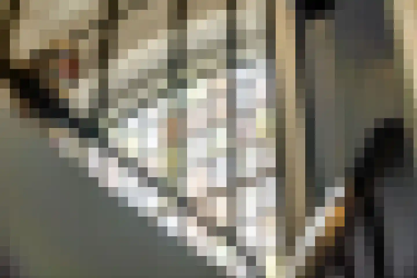 Paulus Buyslaan 13 Amersfoort thumbnail 22