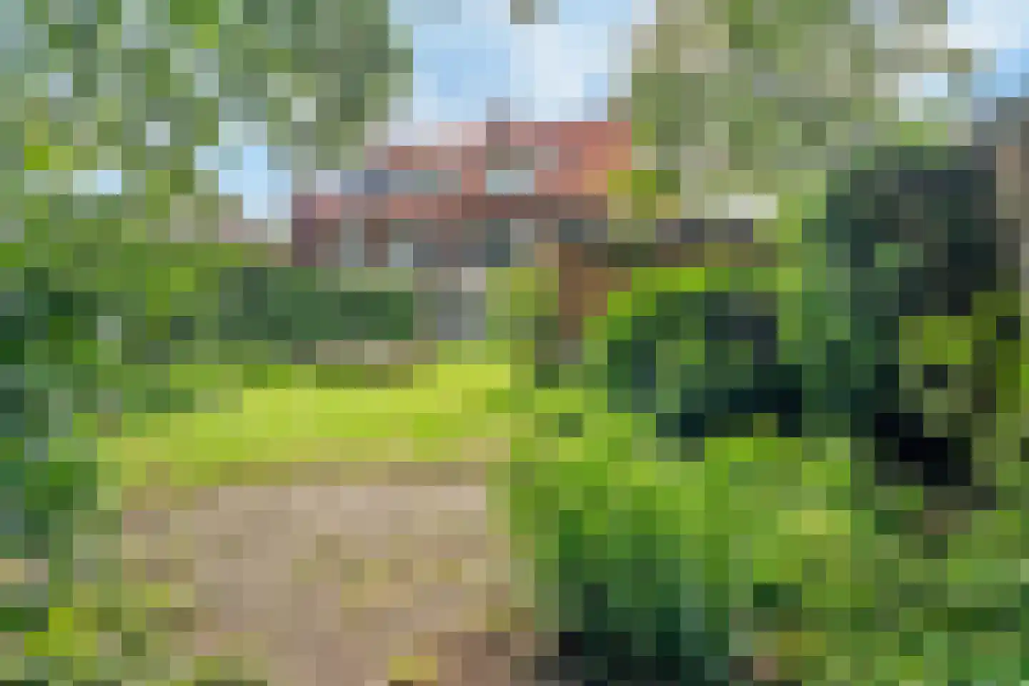 Paulus Buyslaan 13 Amersfoort thumbnail 48