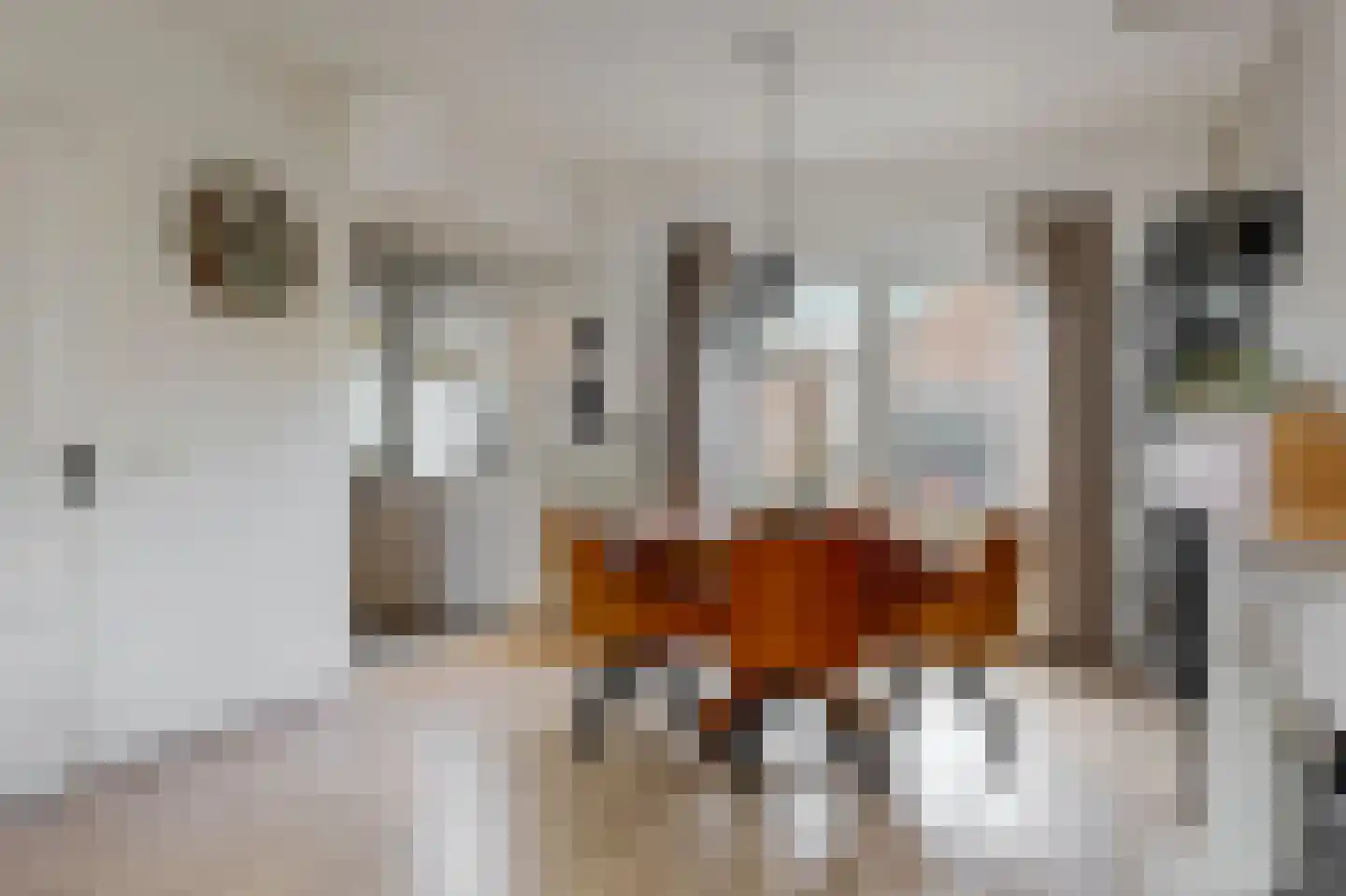 Paulus Buyslaan 13 Woerden thumbnail 13
