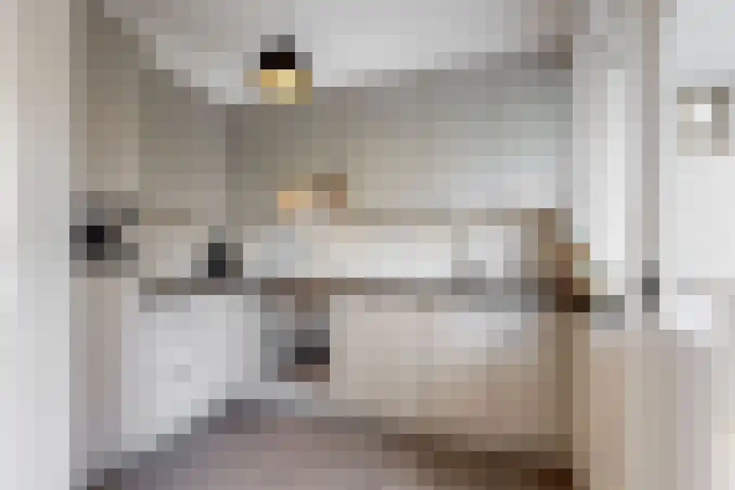 Paulus Buyslaan 13 Woerden thumbnail 15