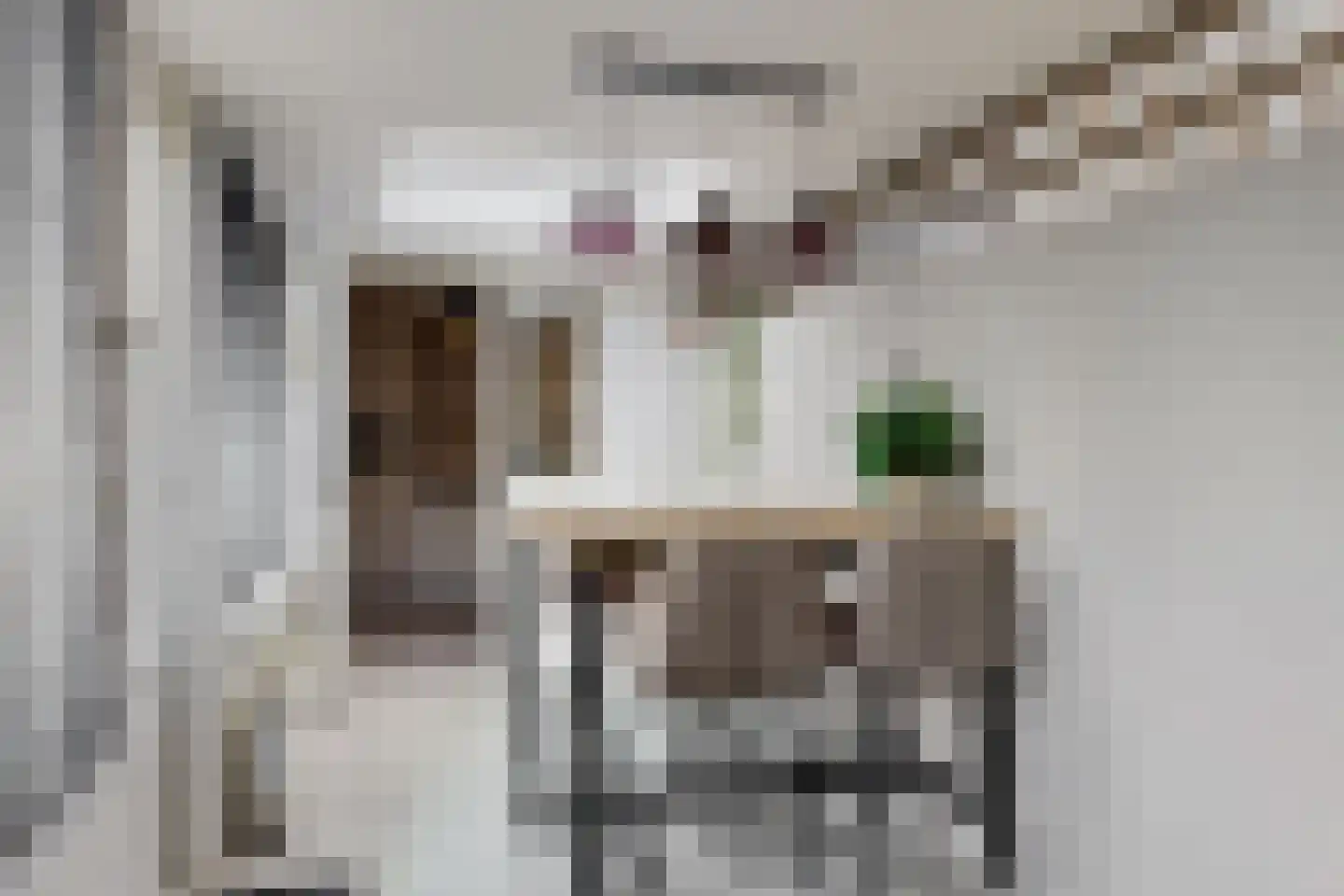 Paulus Buyslaan 13 Woerden thumbnail 20