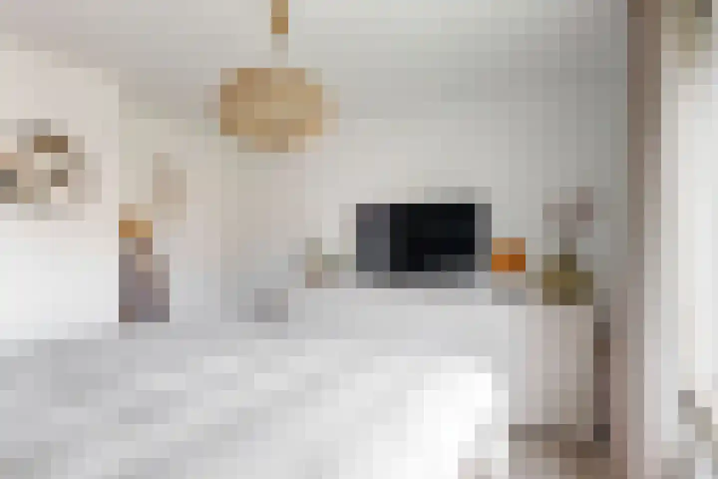 Paulus Buyslaan 13 Woerden thumbnail 26