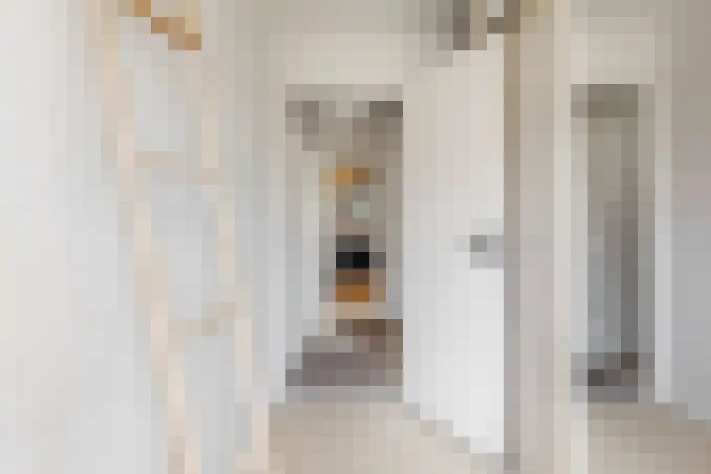 Paulus Buyslaan 13 Woerden thumbnail 28