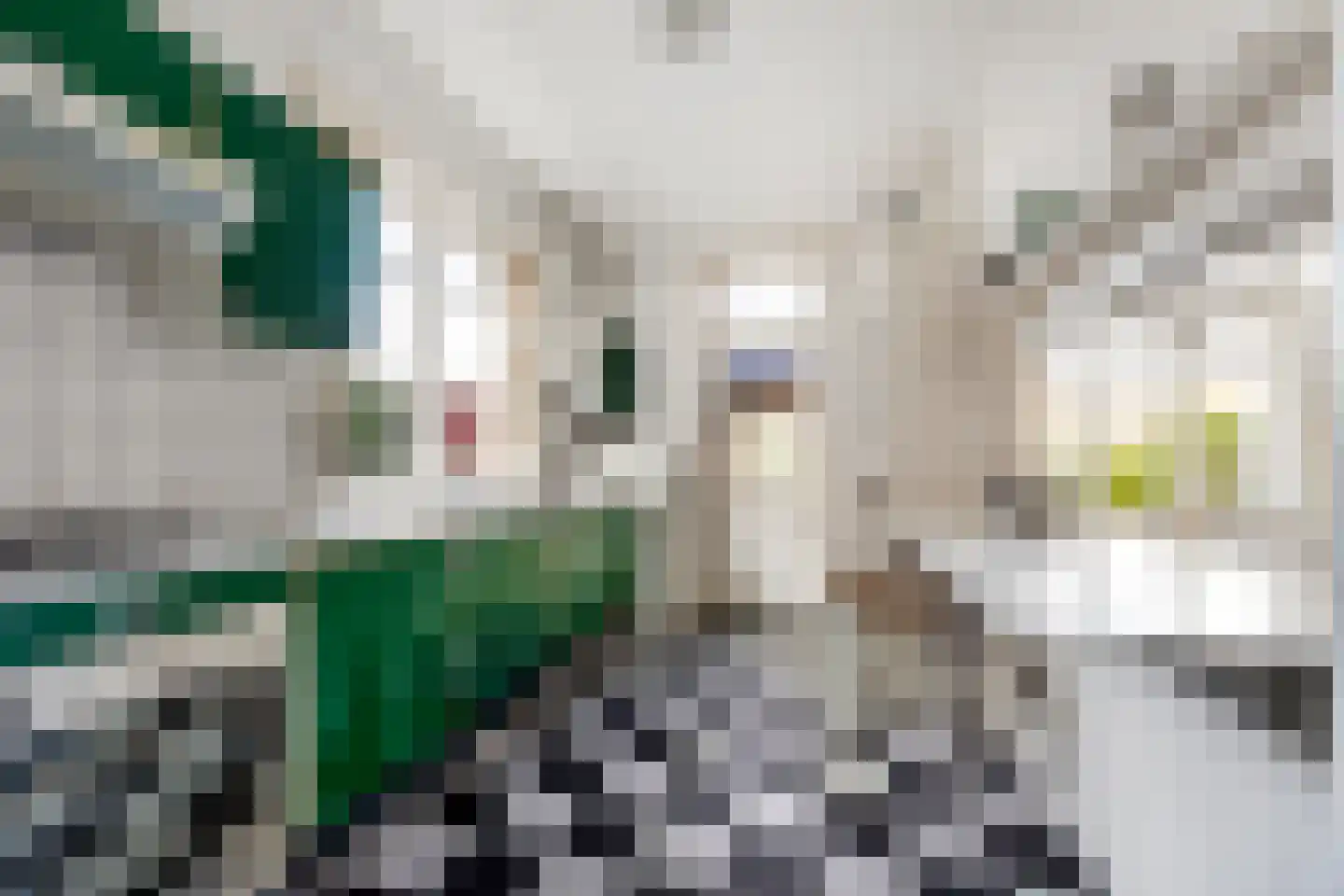 Paulus Buyslaan 16 Heemstede thumbnail 20