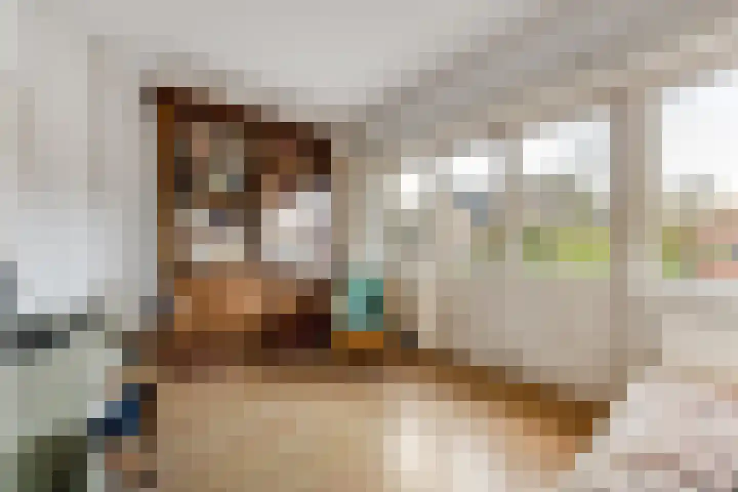 Paulus Buyslaan 16 Heemstede thumbnail 24