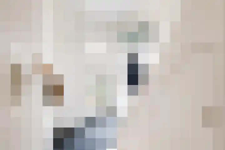 Paulus Buyslaan 17 Woerden thumbnail 10