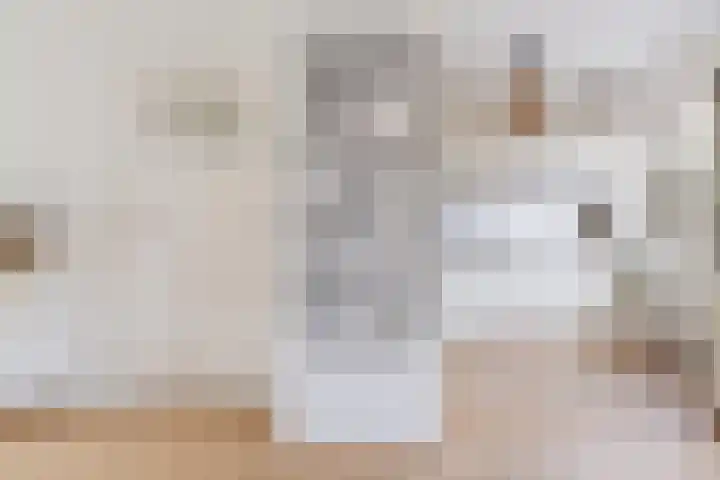 Paulus Buyslaan 17 Woerden thumbnail 21