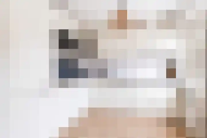Paulus Buyslaan 17 Woerden thumbnail 22