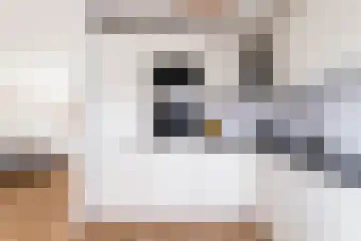 Paulus Buyslaan 17 Woerden thumbnail 23