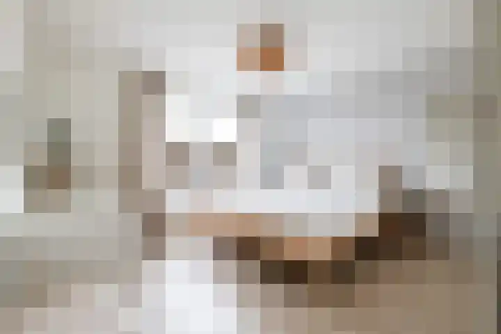 Paulus Buyslaan 17 Woerden thumbnail 26