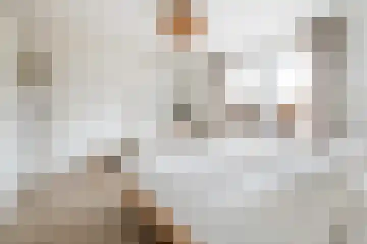 Paulus Buyslaan 17 Woerden thumbnail 27