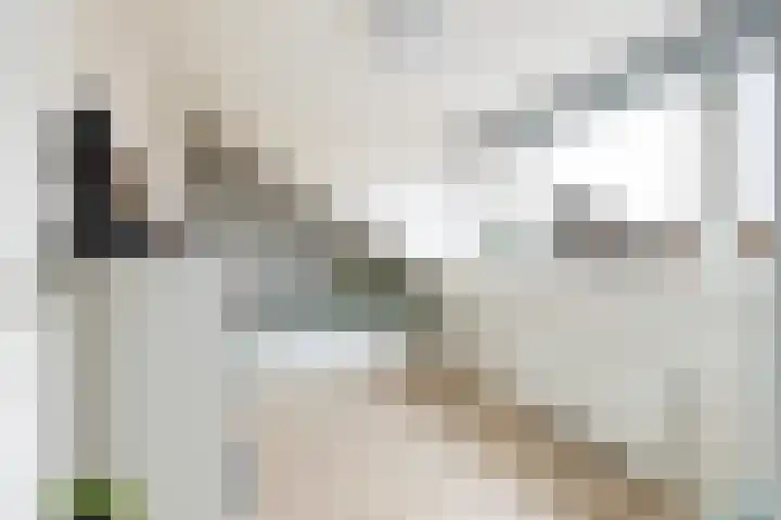 Paulus Buyslaan 17 Woerden thumbnail 36