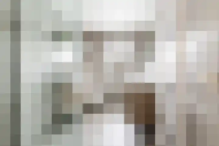 Paulus Buyslaan 17 Woerden thumbnail 38
