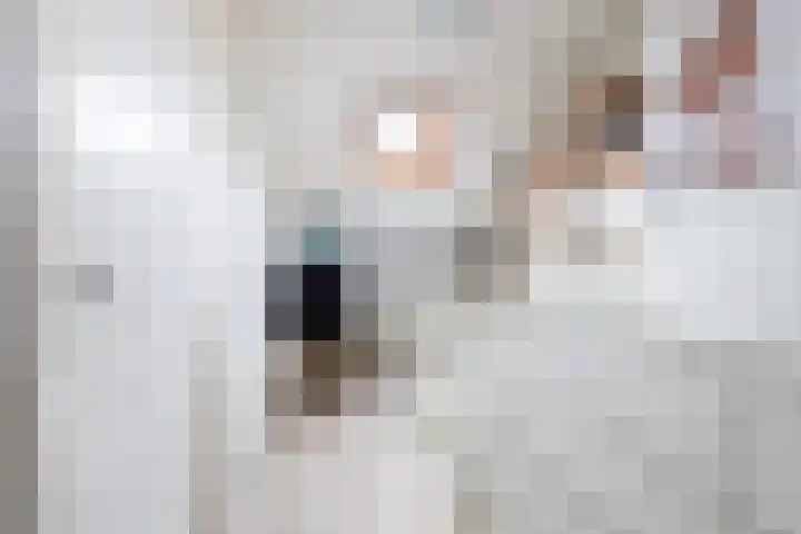 Paulus Buyslaan 17 Woerden thumbnail 42