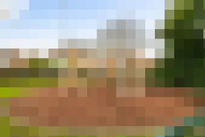 Paulus Buyslaan 17 Woerden thumbnail 55