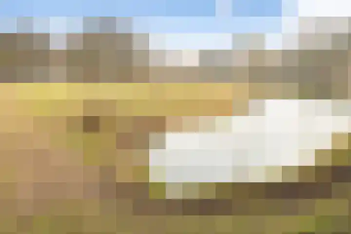 Paulus Buyslaan 17 Woerden thumbnail 56