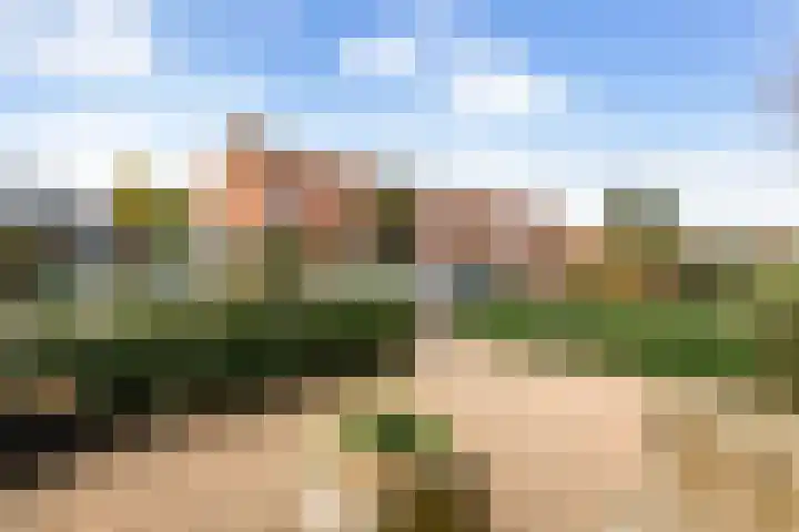 Paulus Buyslaan 17 Woerden thumbnail 7