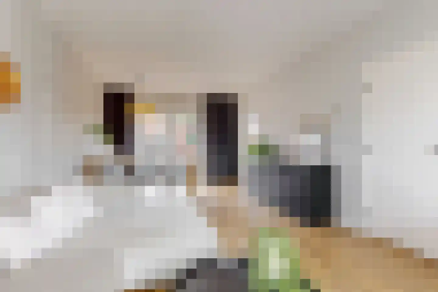 Paulus Buyslaan 19 Woerden thumbnail 10