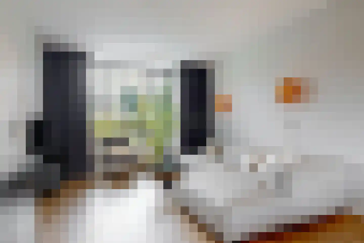 Paulus Buyslaan 19 Woerden thumbnail 12