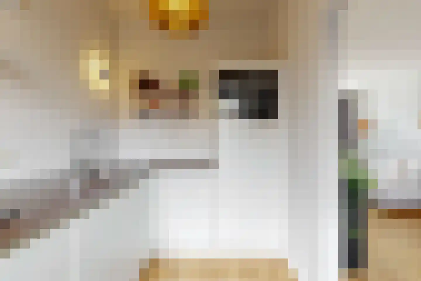 Paulus Buyslaan 19 Woerden thumbnail 14