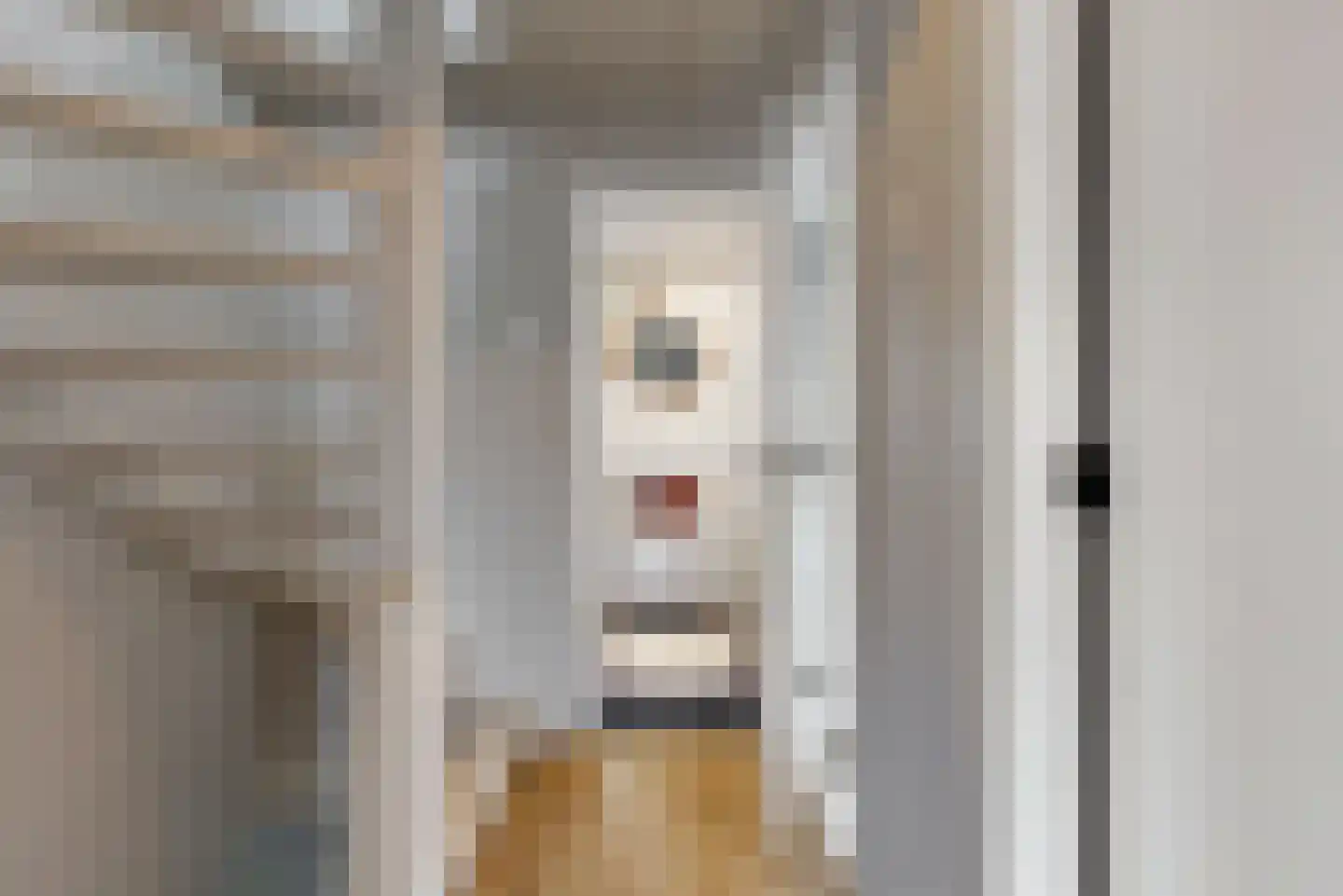 Paulus Buyslaan 19 Woerden thumbnail 15