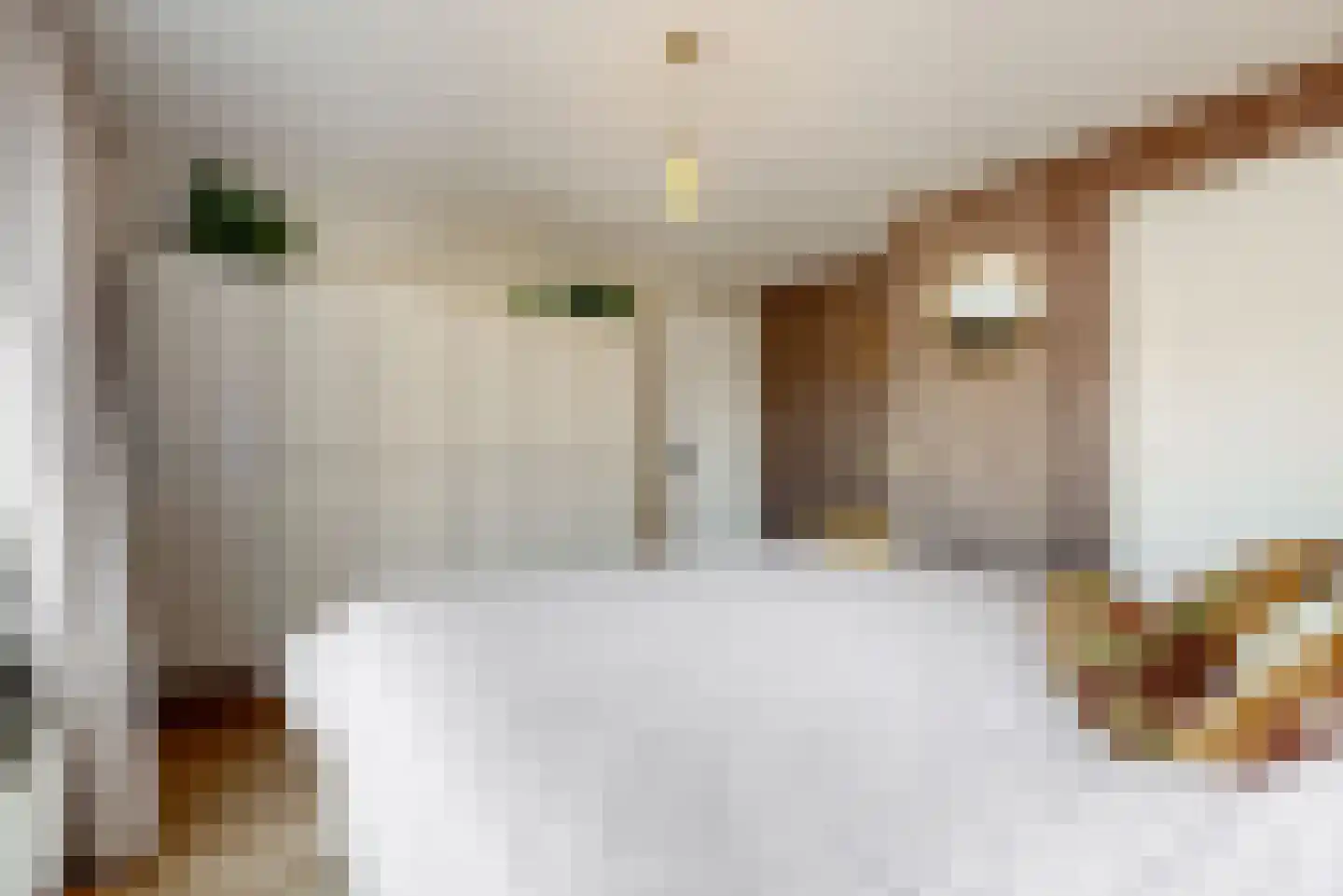 Paulus Buyslaan 19 Woerden thumbnail 17