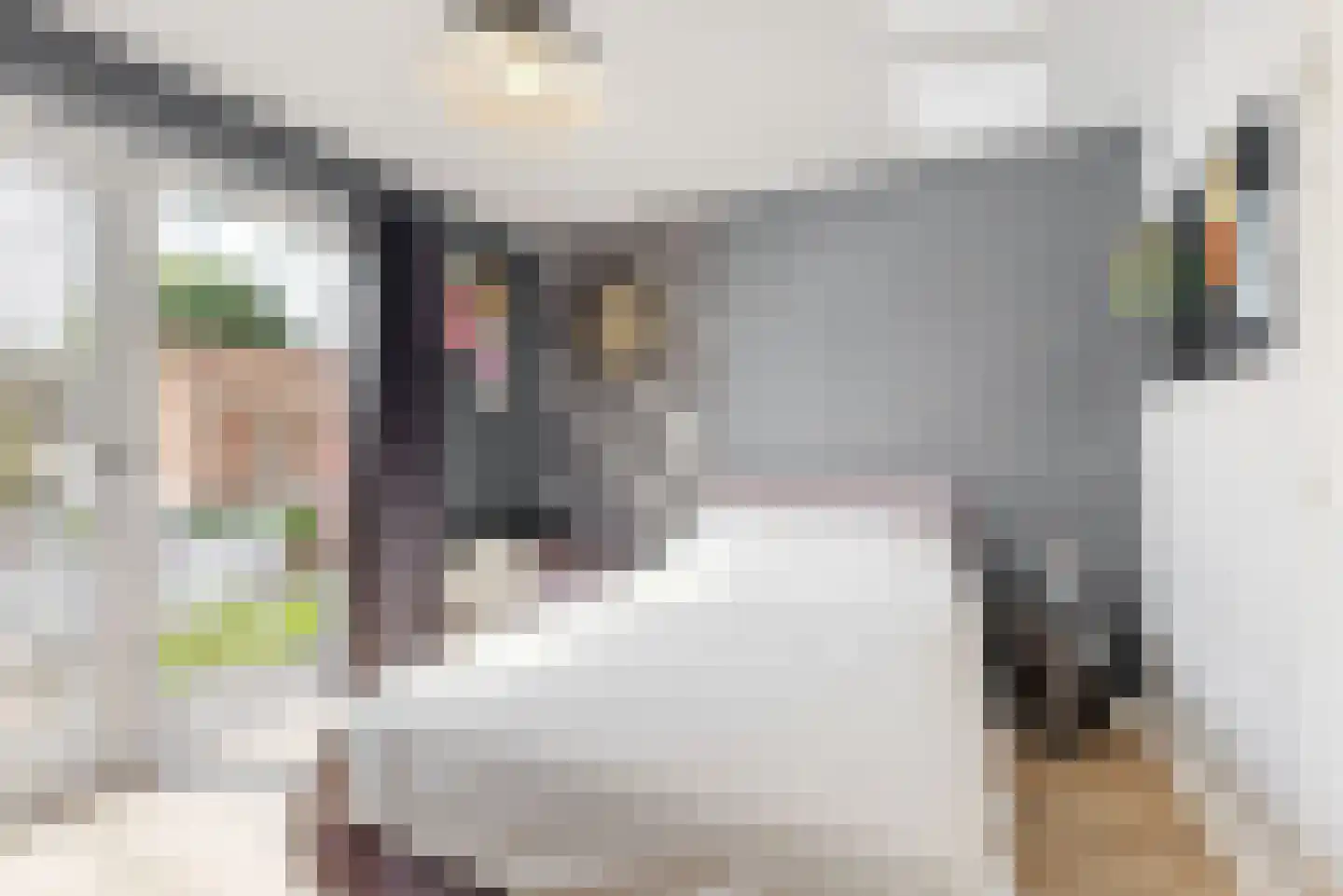 Paulus Buyslaan 19 Woerden thumbnail 18