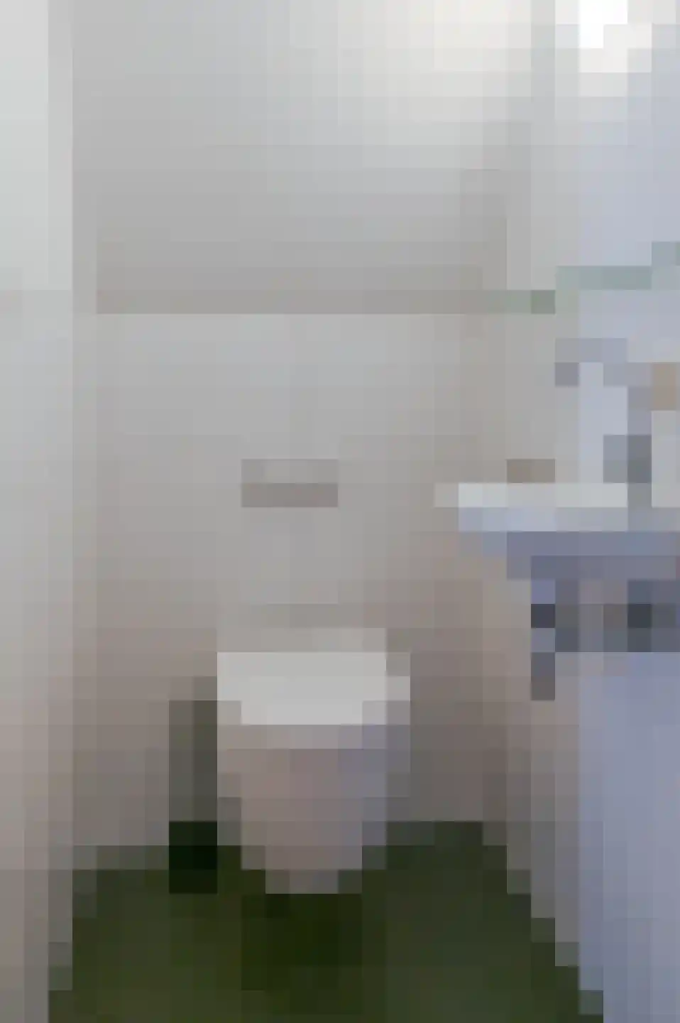 Paulus Buyslaan 5 Heemstede thumbnail 38