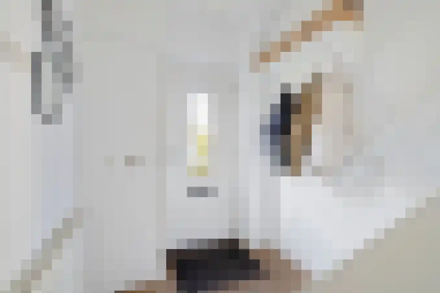 Paulus Buyslaan 5 Woerden thumbnail 16