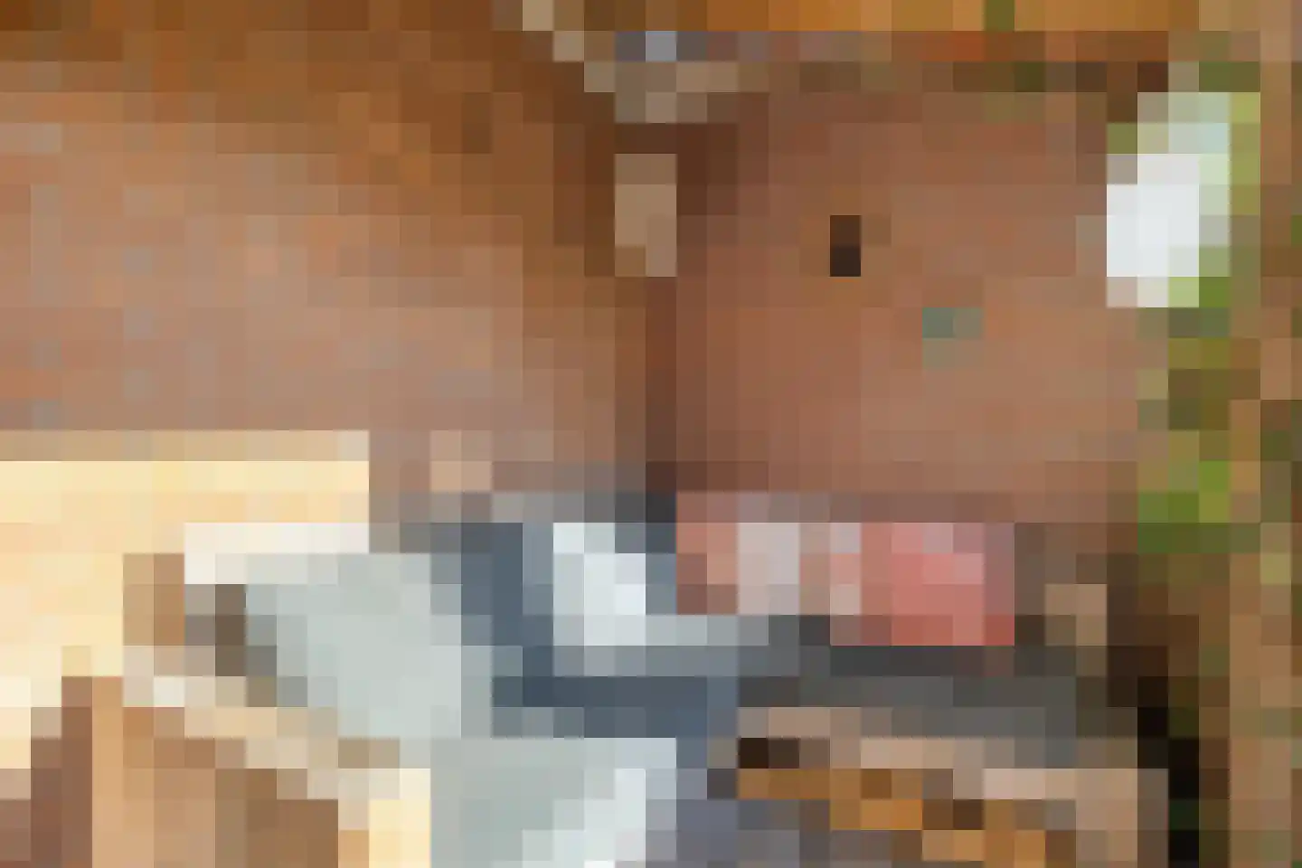 Paulus Buyslaan 5 Woerden thumbnail 37