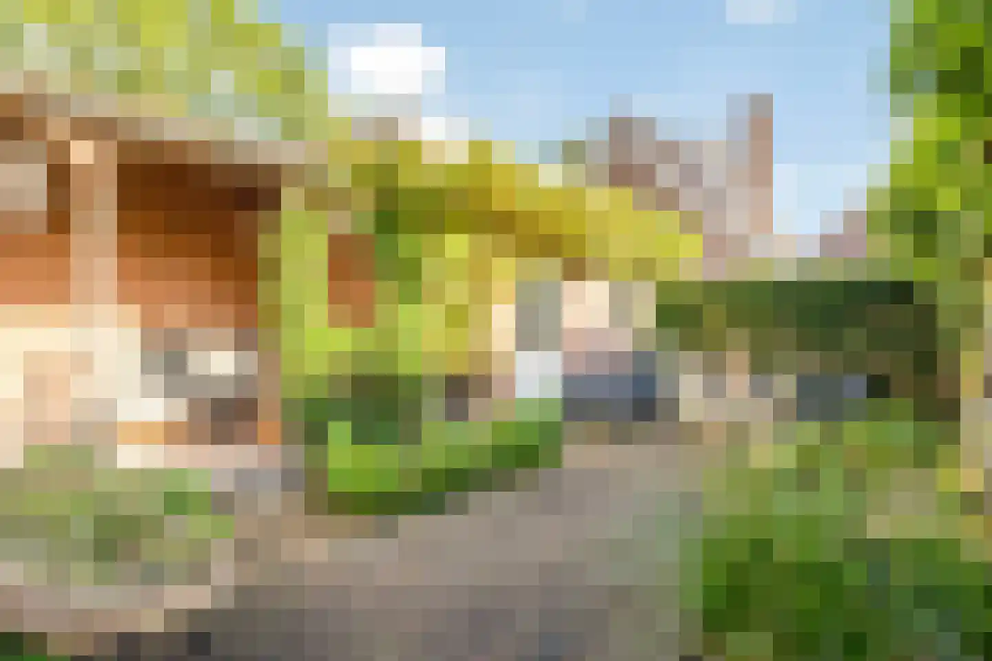 Paulus Buyslaan 5 Woerden thumbnail 38