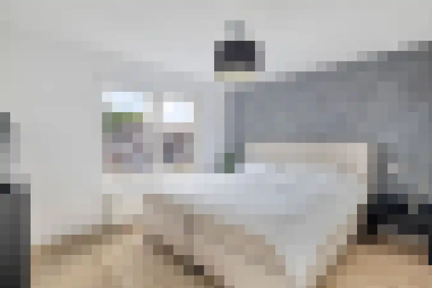 Paulus Buyslaan 5 Woerden thumbnail 7