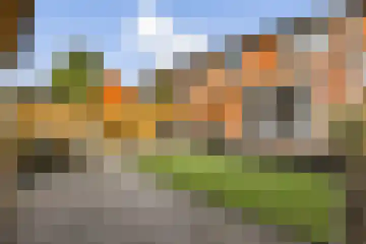 Paulus Buysstraat 28 Vlaardingen thumbnail 4