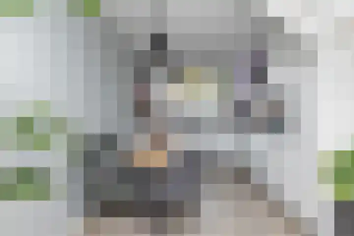 Paulus de boskabouterhof 10 Almere thumbnail 13
