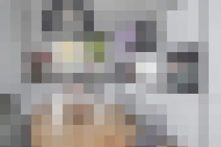 Paulus de boskabouterhof 10 Almere thumbnail 14