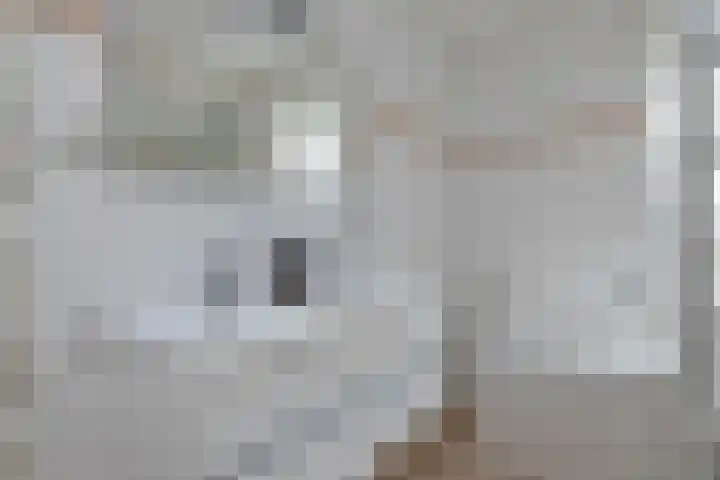 Paulus de boskabouterhof 10 Almere thumbnail 19