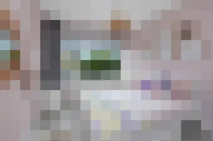 Paulus de boskabouterhof 10 Almere thumbnail 25