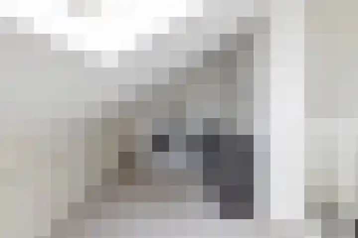 Paulus de boskabouterhof 10 Almere thumbnail 29